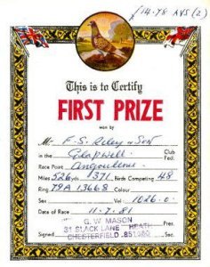 This is a copy of a 1981 certificate issued to the F.S.Riley & Son, winners of the longest pigeon race - 526 miles 371 yards - to Fred Rileys' pigeon loft.